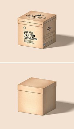 2022年最新紙板產(chǎn)品展示樣機(jī)素材 創(chuàng)意、實(shí)用與設(shè)計(jì)靈感的完美融合